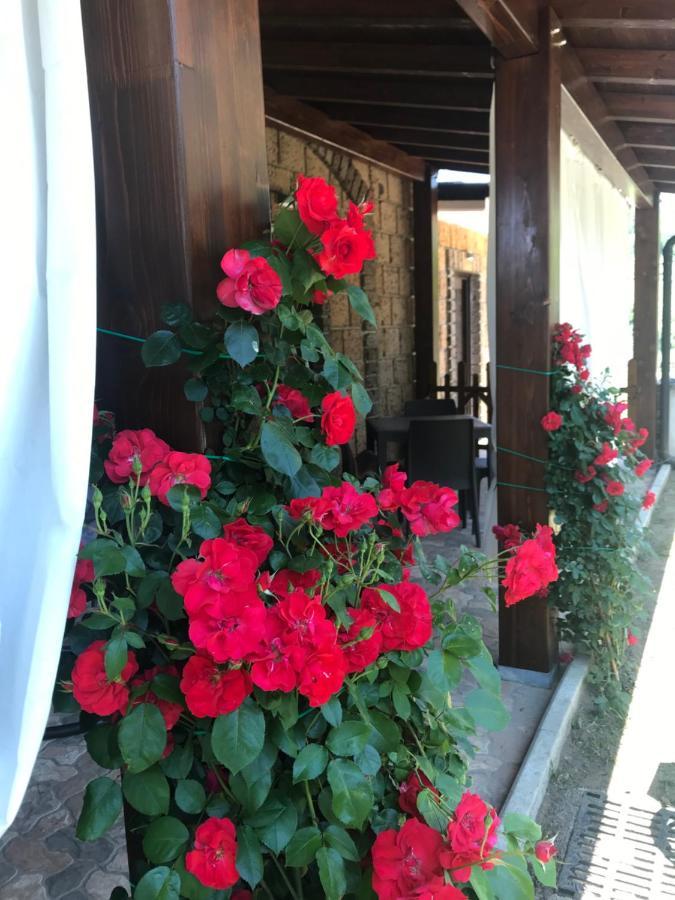 Agriturismo A Casa Di Susanna Santo Stefano del Sole エクステリア 写真