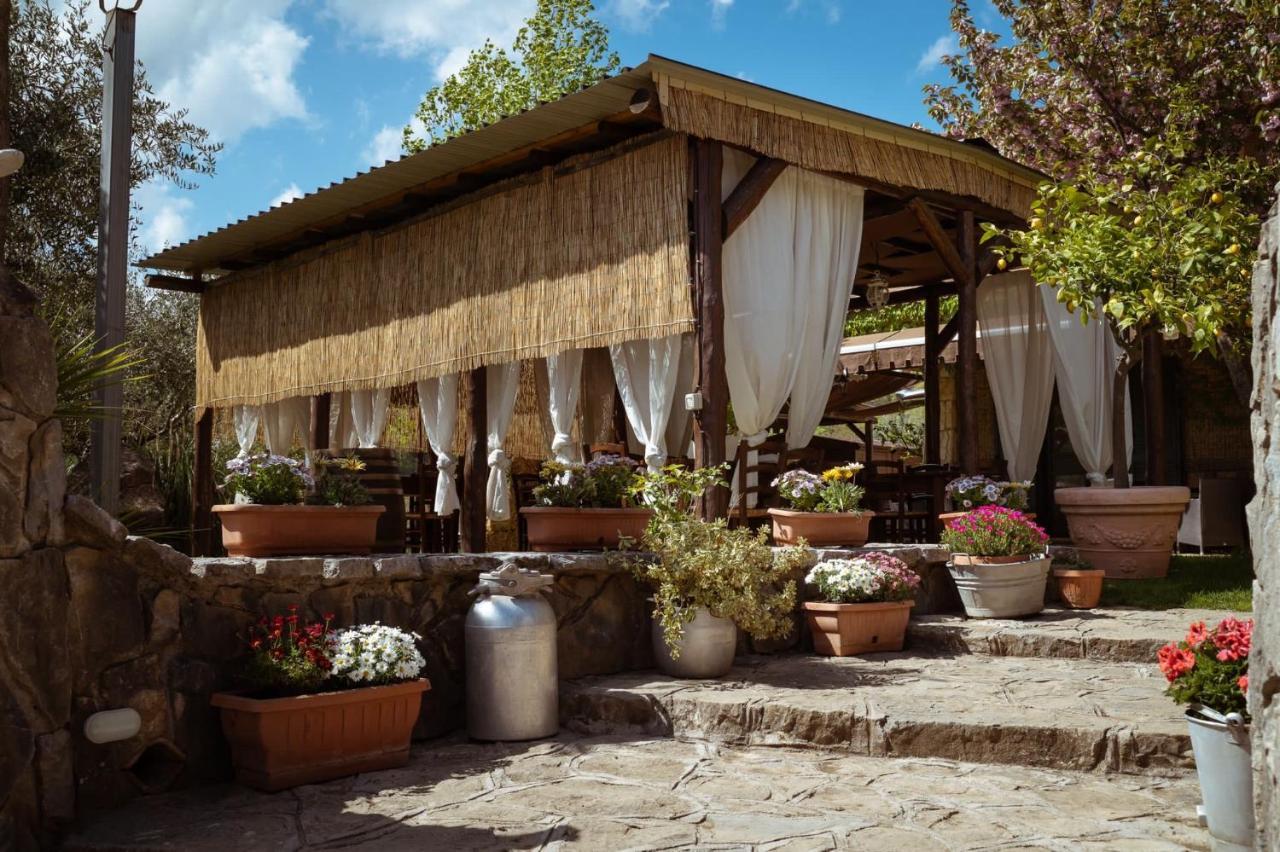 Agriturismo A Casa Di Susanna Santo Stefano del Sole エクステリア 写真