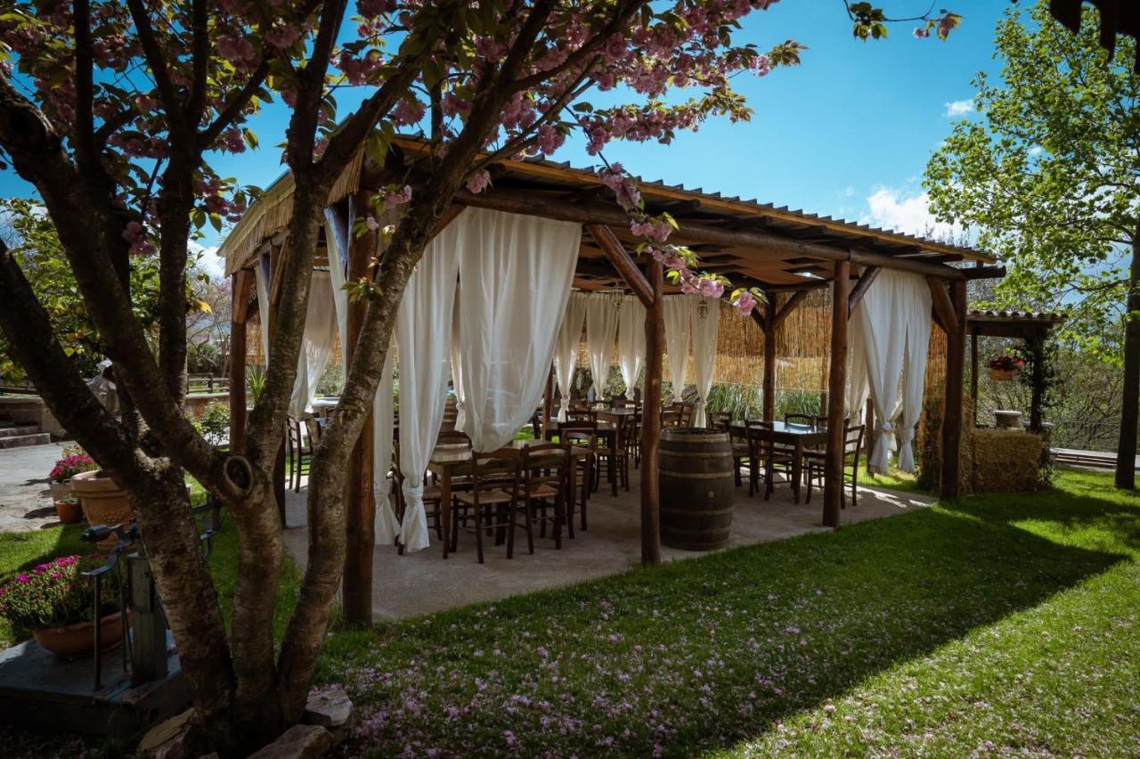 Agriturismo A Casa Di Susanna Santo Stefano del Sole エクステリア 写真