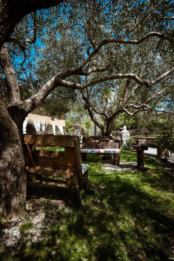 Agriturismo A Casa Di Susanna Santo Stefano del Sole エクステリア 写真
