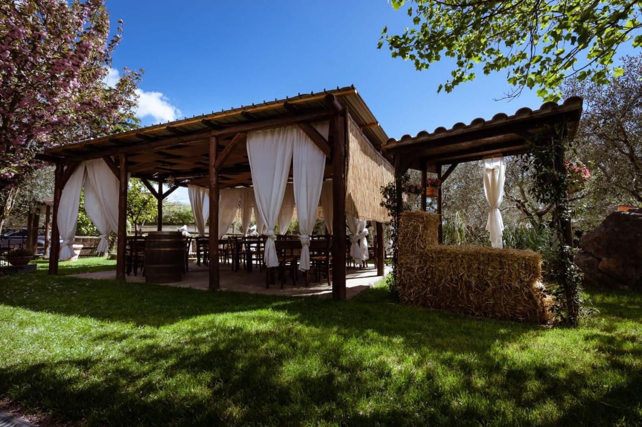 Agriturismo A Casa Di Susanna Santo Stefano del Sole エクステリア 写真