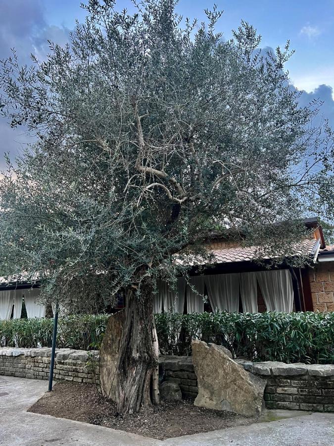 Agriturismo A Casa Di Susanna Santo Stefano del Sole エクステリア 写真