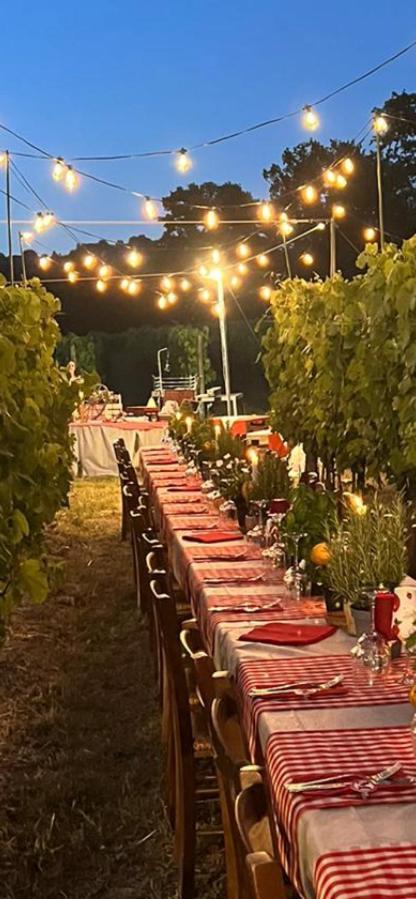 Agriturismo A Casa Di Susanna Santo Stefano del Sole エクステリア 写真