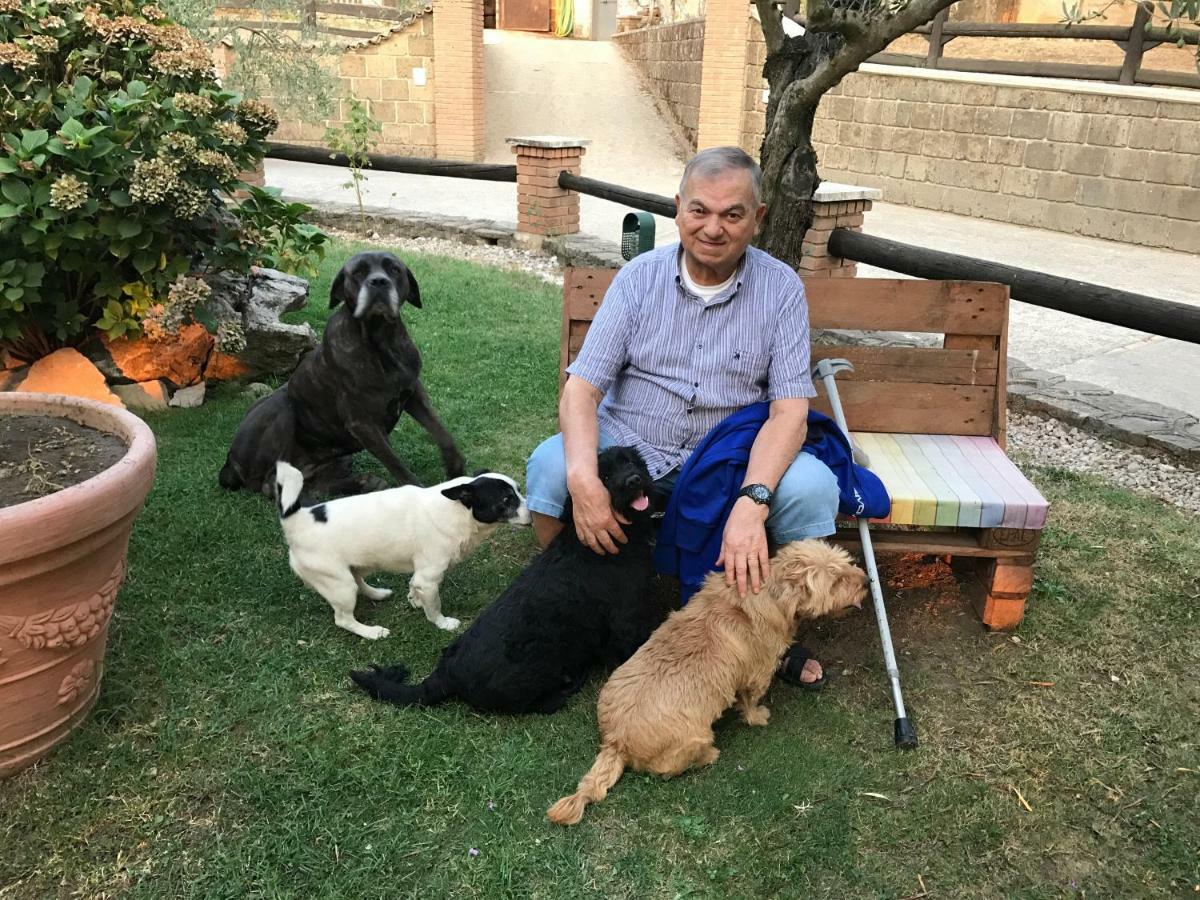 Agriturismo A Casa Di Susanna Santo Stefano del Sole エクステリア 写真