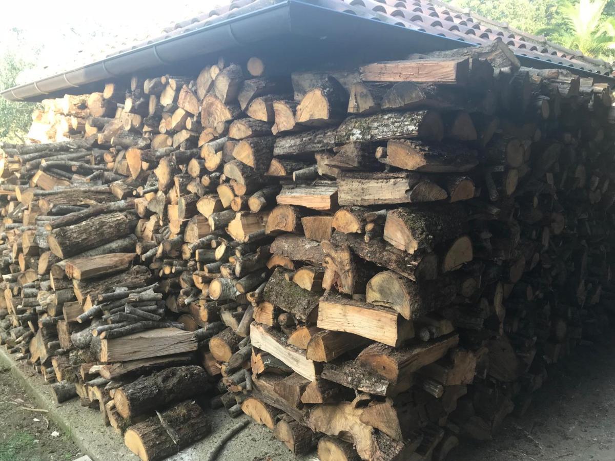 Agriturismo A Casa Di Susanna Santo Stefano del Sole エクステリア 写真