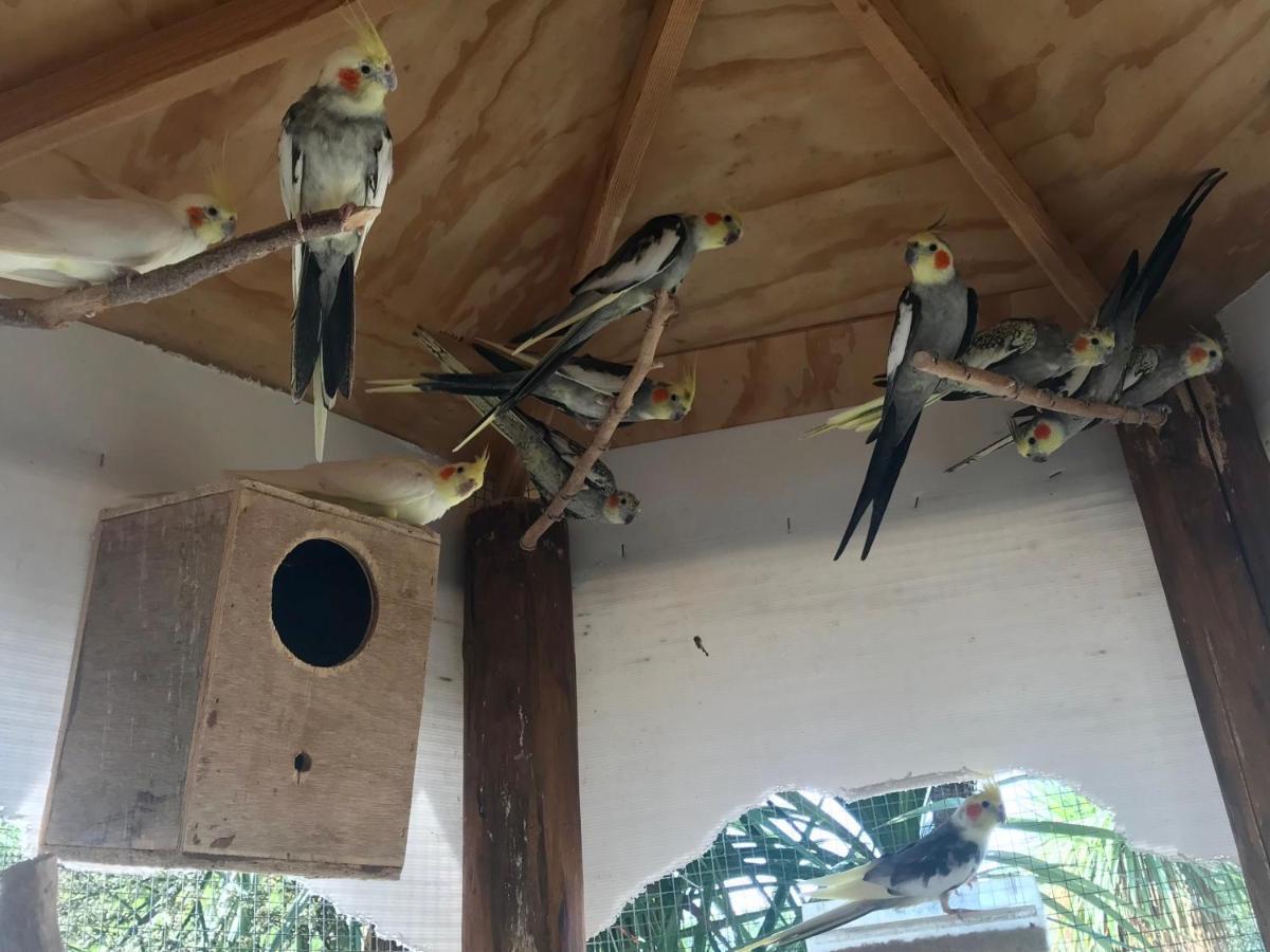 Agriturismo A Casa Di Susanna Santo Stefano del Sole エクステリア 写真