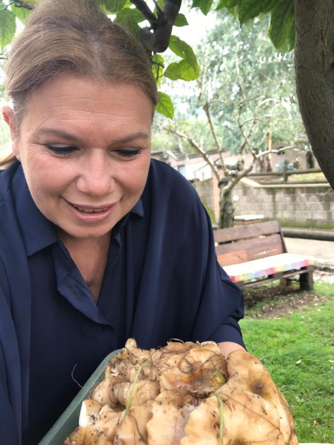 Agriturismo A Casa Di Susanna Santo Stefano del Sole エクステリア 写真