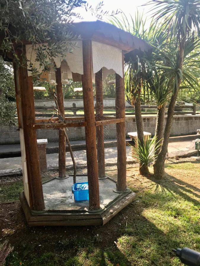 Agriturismo A Casa Di Susanna Santo Stefano del Sole エクステリア 写真