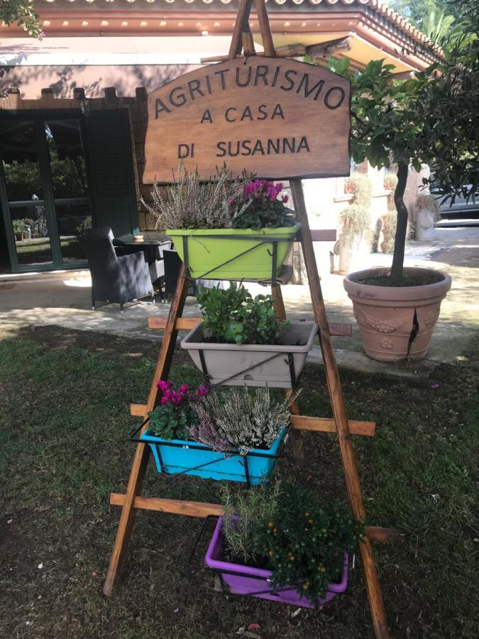 Agriturismo A Casa Di Susanna Santo Stefano del Sole エクステリア 写真