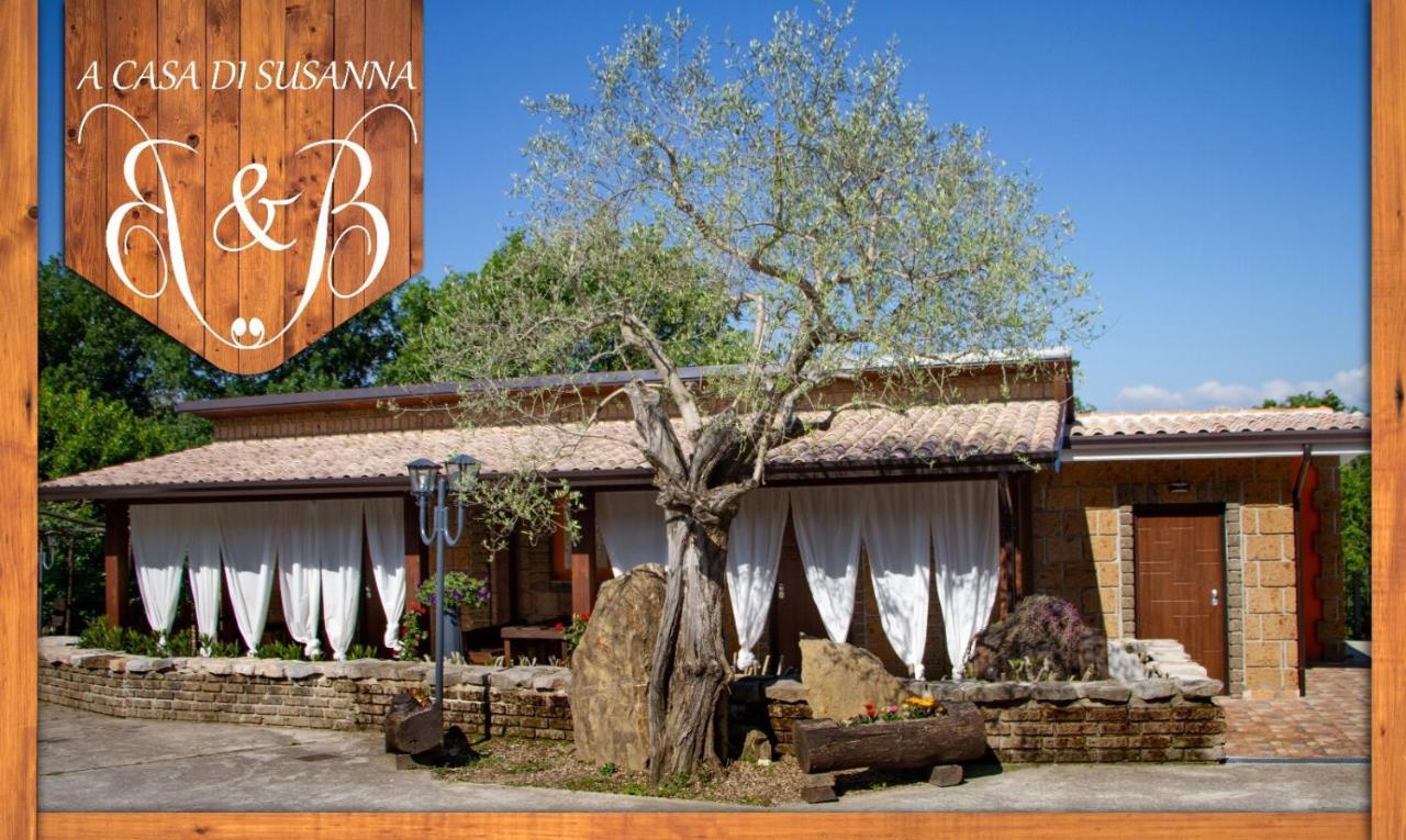 Agriturismo A Casa Di Susanna Santo Stefano del Sole エクステリア 写真
