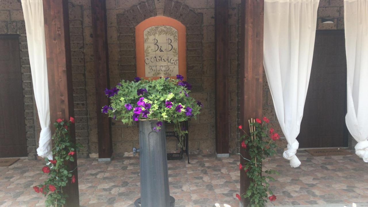 Agriturismo A Casa Di Susanna Santo Stefano del Sole エクステリア 写真