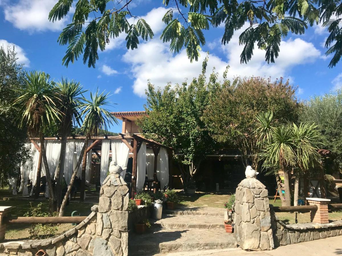 Agriturismo A Casa Di Susanna Santo Stefano del Sole エクステリア 写真