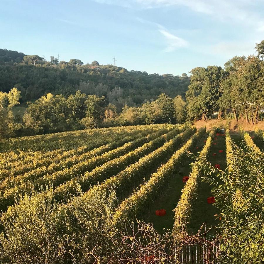 Agriturismo A Casa Di Susanna Santo Stefano del Sole エクステリア 写真