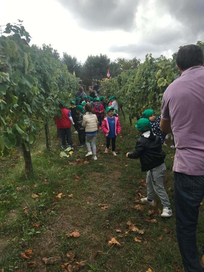 Agriturismo A Casa Di Susanna Santo Stefano del Sole エクステリア 写真