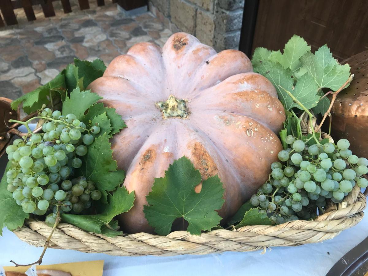 Agriturismo A Casa Di Susanna Santo Stefano del Sole エクステリア 写真